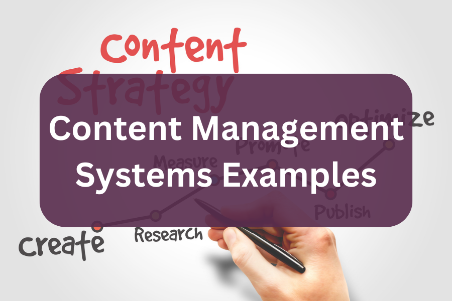Top Content Management Systems Examples in 2024